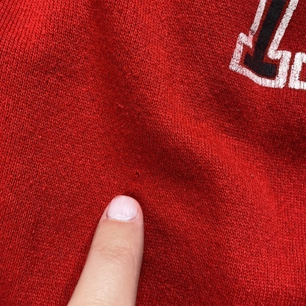 Vintage Artex University Northern Illinois Red Crewneck Sweatshirt Raglan Sleeve